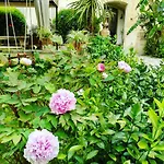 B&b l\'Orangerie D\'epoque